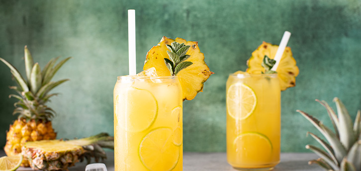 Del Monte Diver's Punch sit amet Recipe